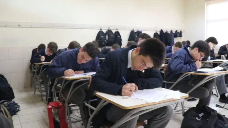 Destacado rendimiento de nuestros colegios en la PAES